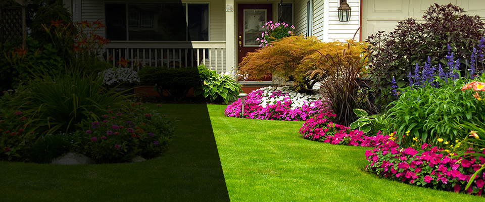 Saluda Landscapers